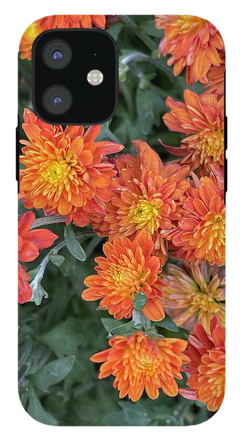 Orange Mums walk - Phone Case