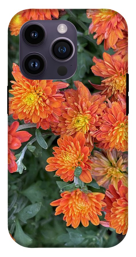 Orange Mums walk - Phone Case