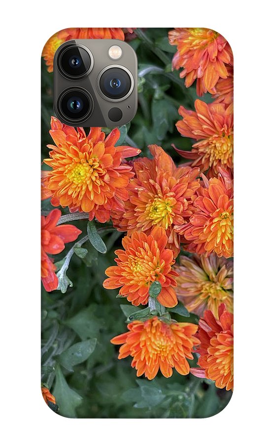 Orange Mums walk - Phone Case