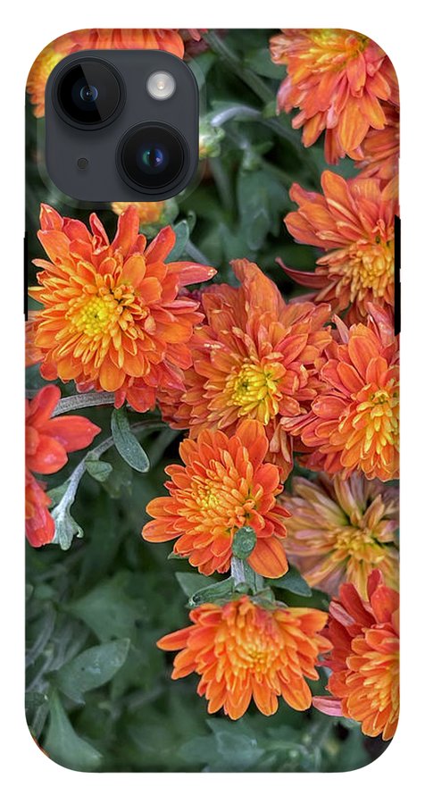 Orange Mums walk - Phone Case