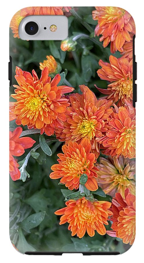 Orange Mums walk - Phone Case