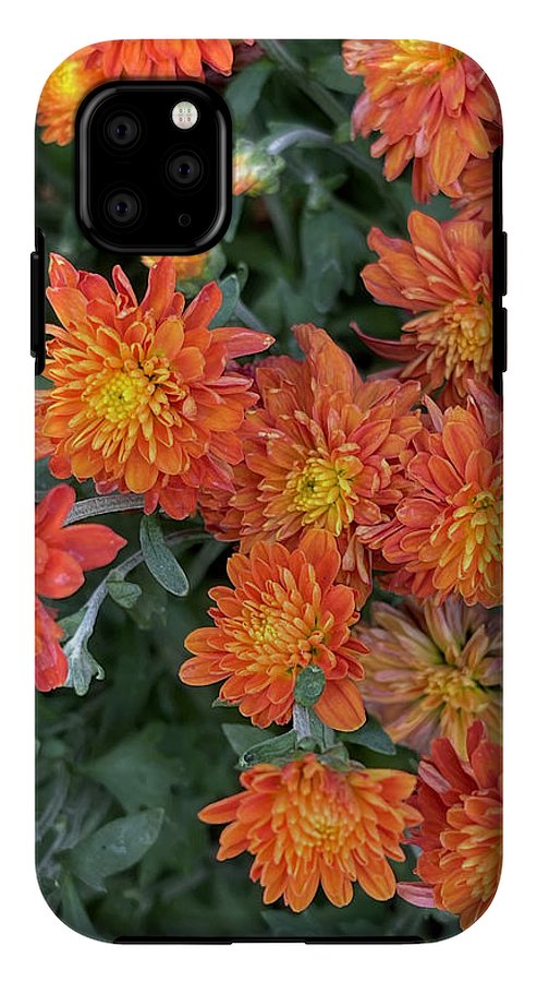 Orange Mums walk - Phone Case
