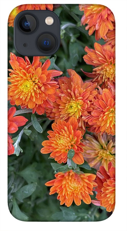 Orange Mums walk - Phone Case