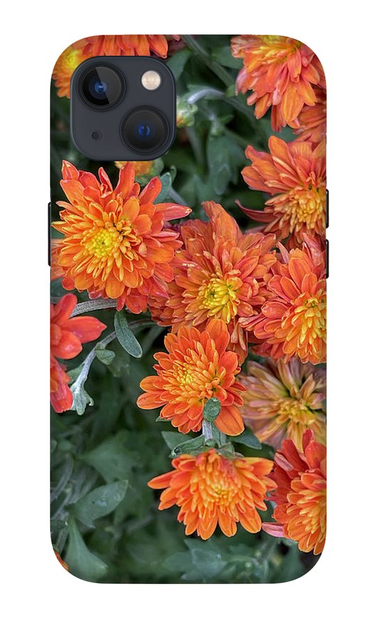 Orange Mums walk - Phone Case