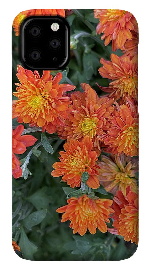 Orange Mums walk - Phone Case