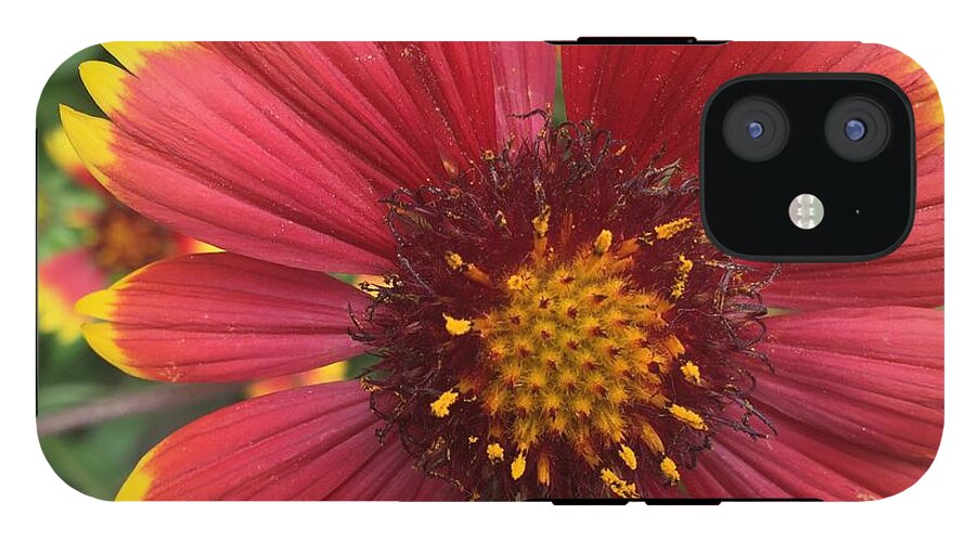 Orange Red Flower - Phone Case