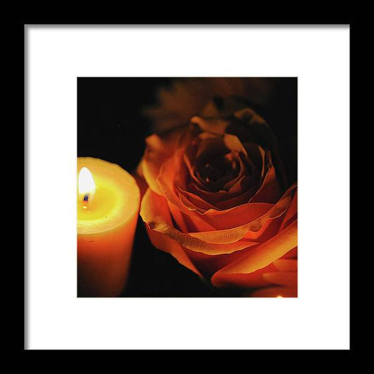 Orange Rose By Candle Light - Framed Print