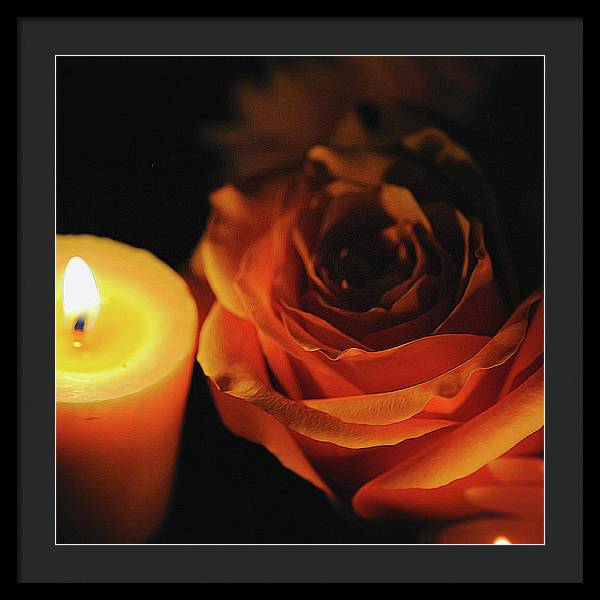 Orange Rose By Candle Light - Framed Print