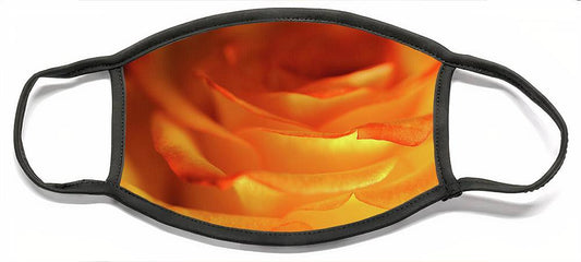 Orange Rose Close Up - Face Mask
