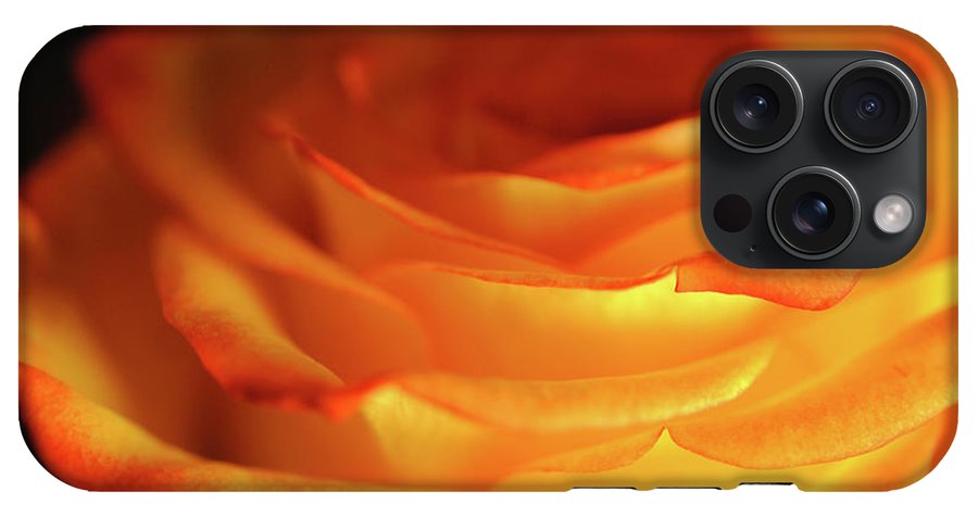 Orange Rose Close Up - Phone Case