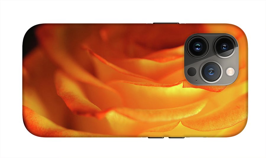 Orange Rose Close Up - Phone Case