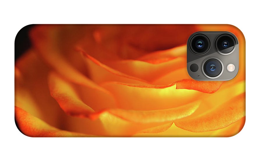 Orange Rose Close Up - Phone Case
