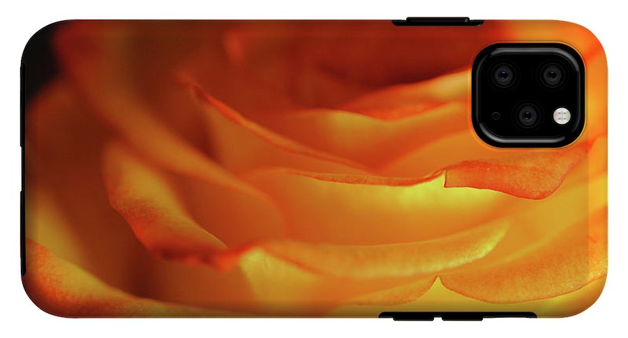 Orange Rose Close Up - Phone Case