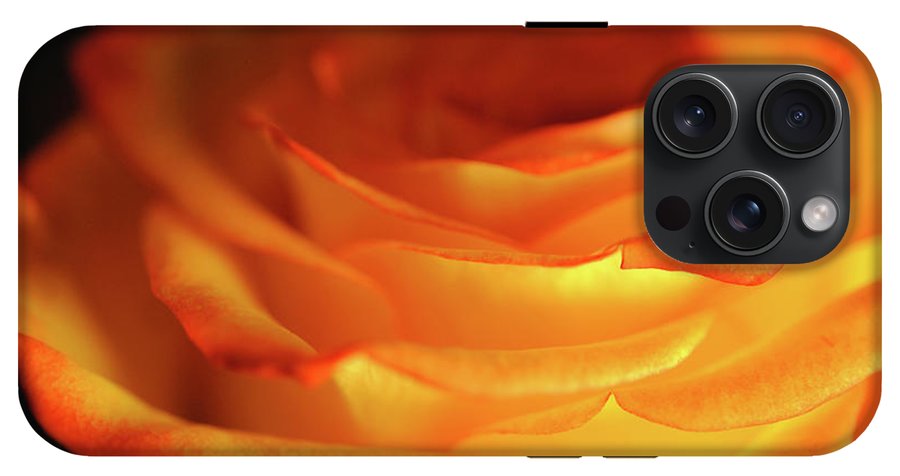 Orange Rose Close Up - Phone Case