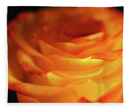 Orange Rose Close Up - Blanket
