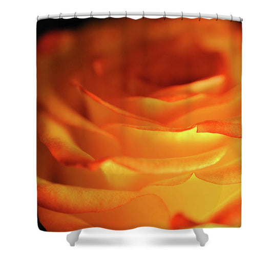 Orange Rose Close Up - Shower Curtain