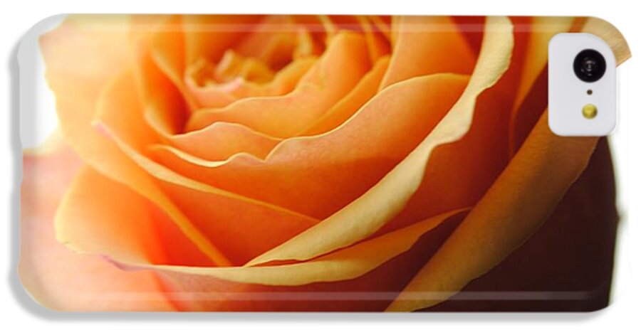 Orange Rose On White - Phone Case