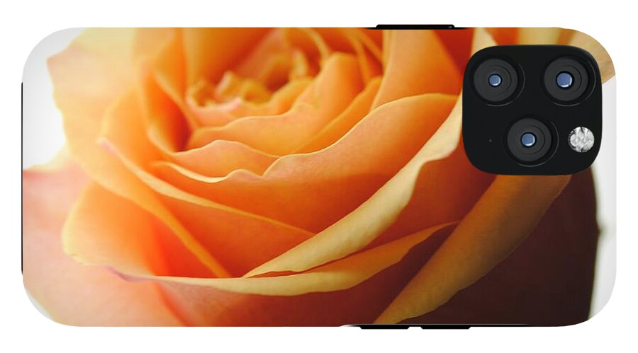 Orange Rose On White - Phone Case