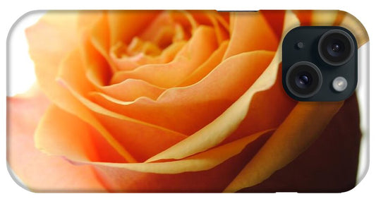 Orange Rose On White - Phone Case