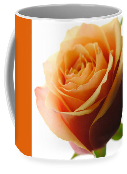 Orange Rose On White - Mug