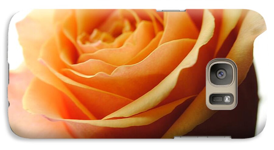 Orange Rose On White - Phone Case
