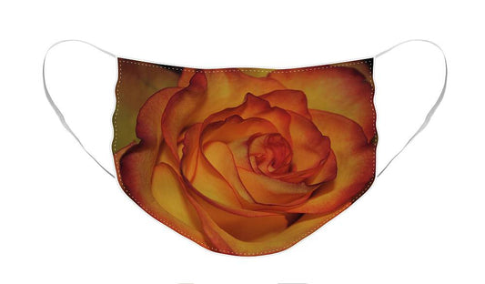 Orange Rose Portrait - Face Mask