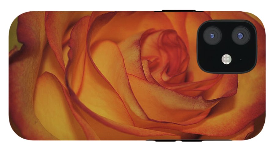 Orange Rose Portrait - Phone Case