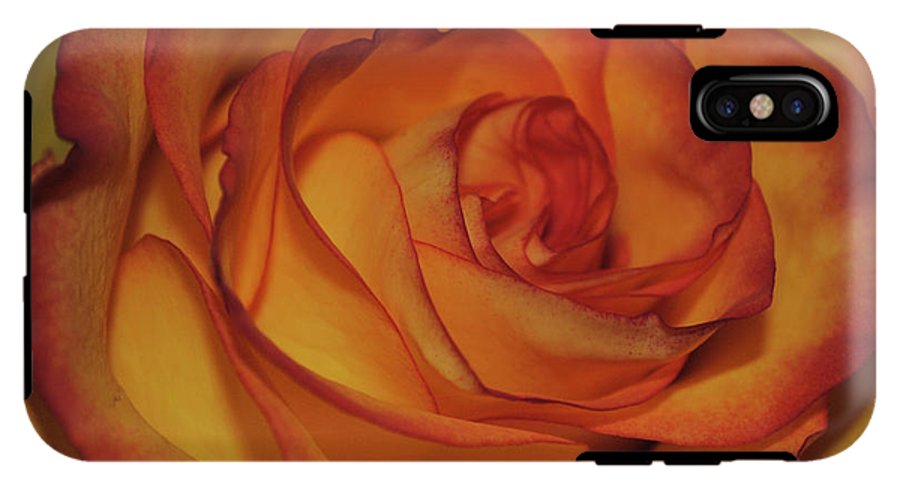 Orange Rose Portrait - Phone Case