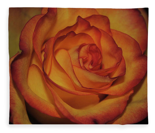 Orange Rose Portrait - Blanket