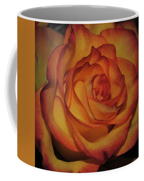 Orange Rose Portrait - Mug