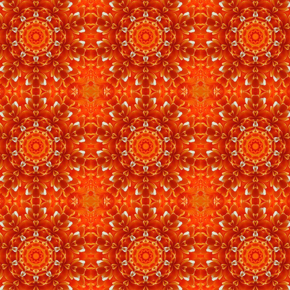 Orange Flower Kaleidoscope Digital Image Download