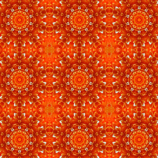 Orange Flower Kaleidoscope Digital Image Download
