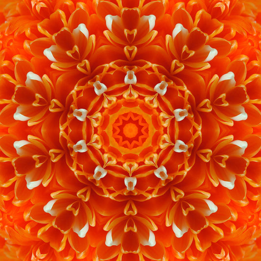 Orange Petals Kaleidoscope Digital Image Download