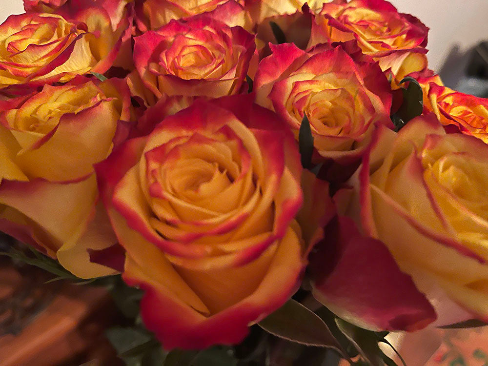 Orange Roses Digital Image Download