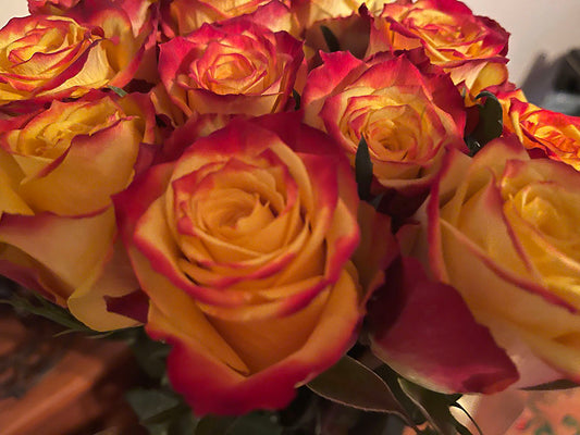 Orange Roses Digital Image Download