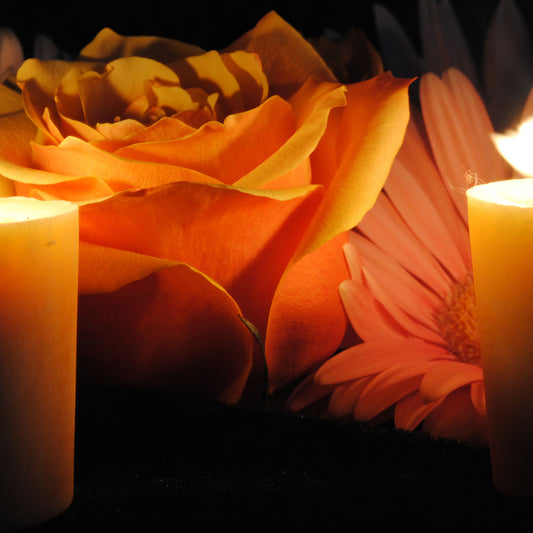 Orange Rose With Candles Digital Image Download
