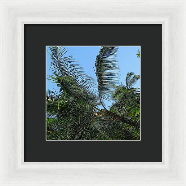 Palm Tree - Framed Print
