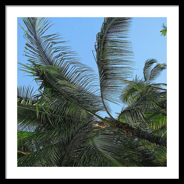 Palm Tree - Framed Print