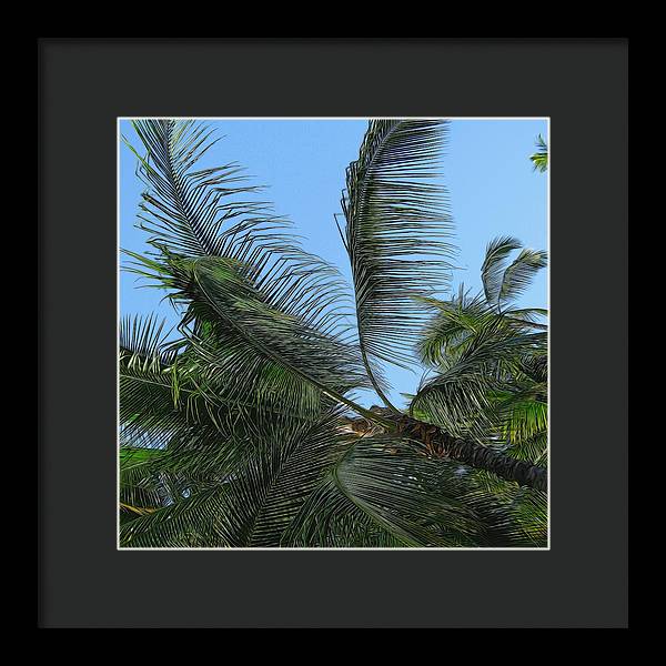 Palm Tree - Framed Print
