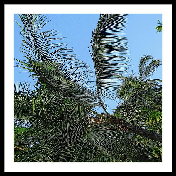 Palm Tree - Framed Print