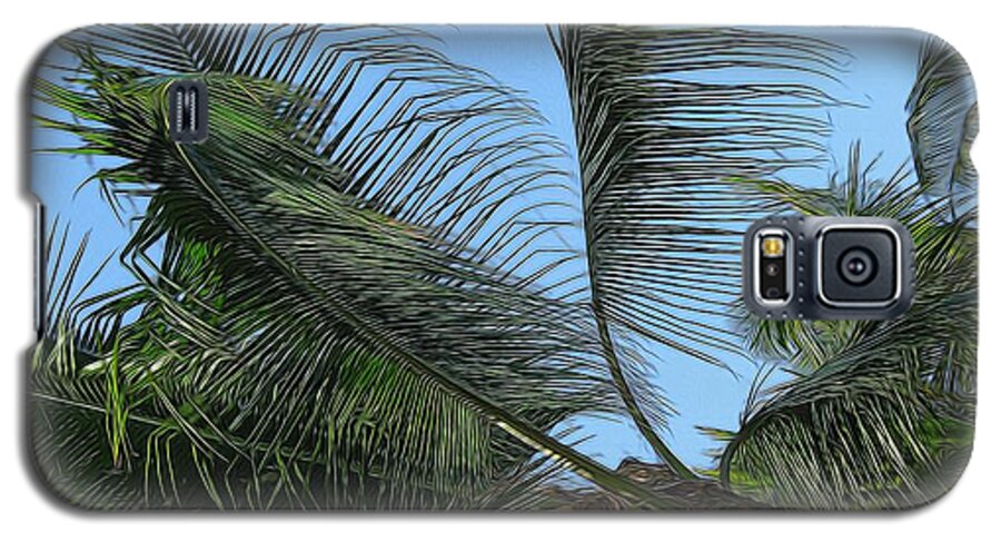 Palm Tree - Phone Case