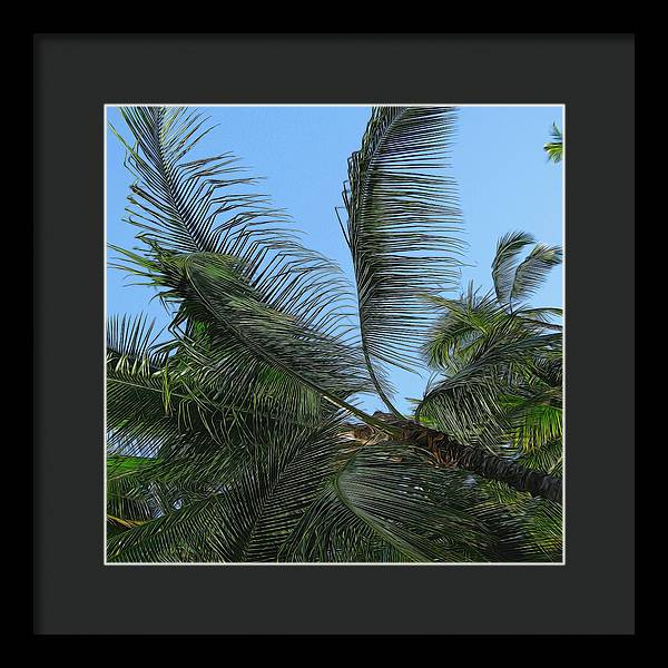 Palm Tree - Framed Print