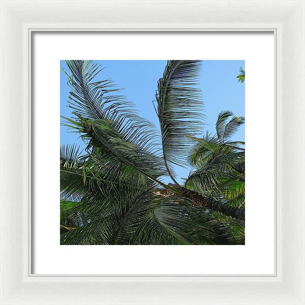 Palm Tree - Framed Print