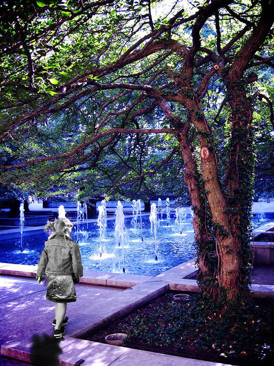 Park In Chicago Explored Digital Image Download