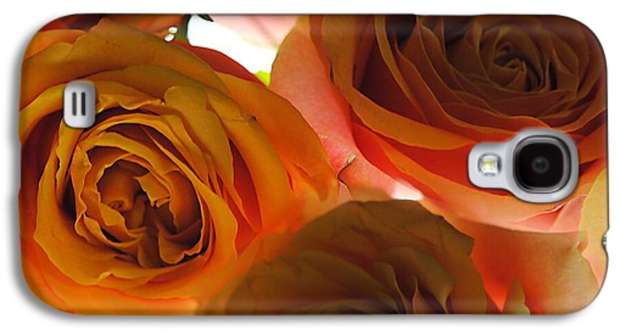 Pastel Pink and Orange Roses on White - Phone Case