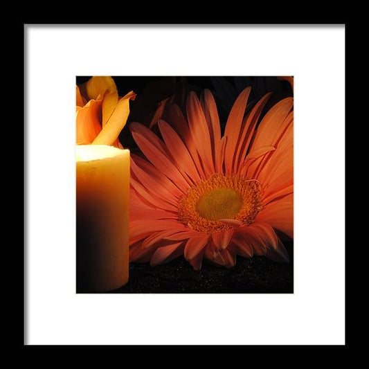 Pastel Pink Daisy With Candle - Framed Print