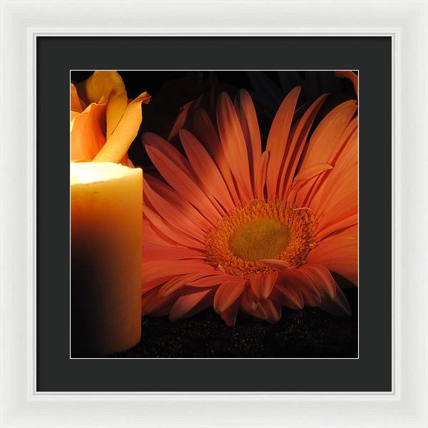 Pastel Pink Daisy With Candle - Framed Print