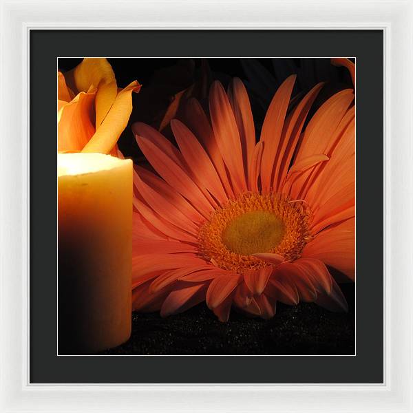 Pastel Pink Daisy With Candle - Framed Print