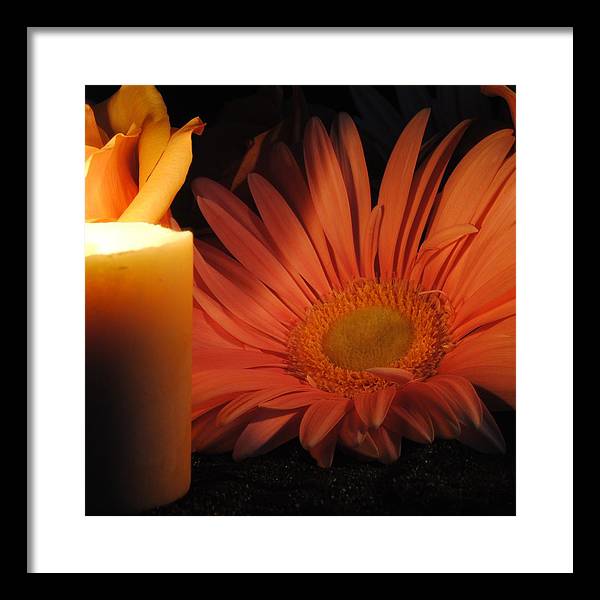 Pastel Pink Daisy With Candle - Framed Print