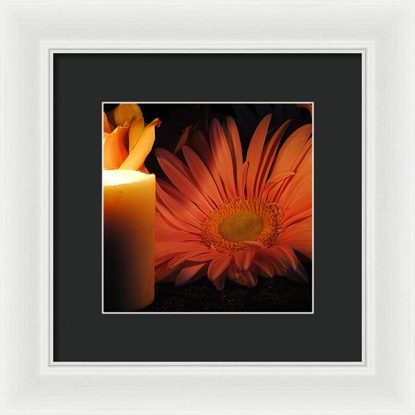 Pastel Pink Daisy With Candle - Framed Print